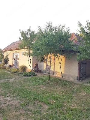 Casa la tara in Jud Satu Mare - imagine 7