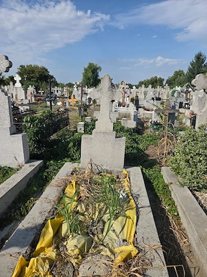 Loc de veci Cimitirul Mihai Bravu Ploiesti - imagine 2
