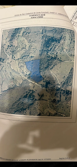 Teren extravilan si sau pădure de fag în sat tarsa, jud. hunedoara,1 ha 3 ha 154000   - imagine 3