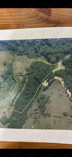 Teren extravilan si sau pădure de fag în sat tarsa, jud. hunedoara,1 ha 3 ha 154000  