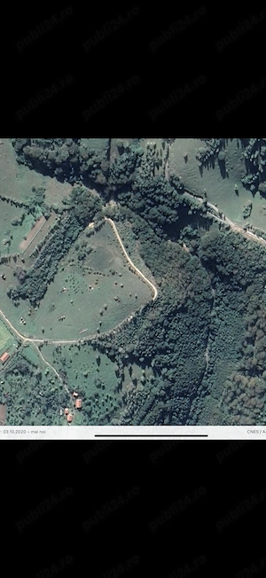Teren extravilan si sau pădure de fag în sat tarsa, jud. hunedoara,1 ha 3 ha 154000   - imagine 4