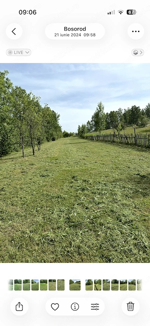 Teren extravilan si sau pădure de fag în sat tarsa, jud. hunedoara,1 ha 3 ha 154000   - imagine 2