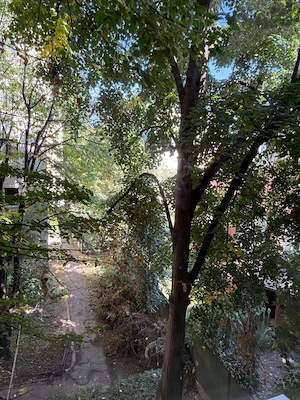 Ap 1 Cam | Buc Separata | Complex | Zona Linistita - imagine 10