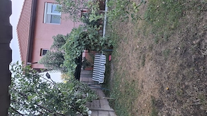 Casă de vânzare  Racastie Hunedoara - imagine 10