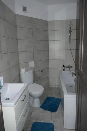 Apartament cu 1 camera in Tudor Vladimirescu - imagine 10