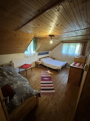 CASĂ DE VACANȚĂ DE VÂNZARE în Transilvania   Băile Homorod, Valea Ilona - imagine 6