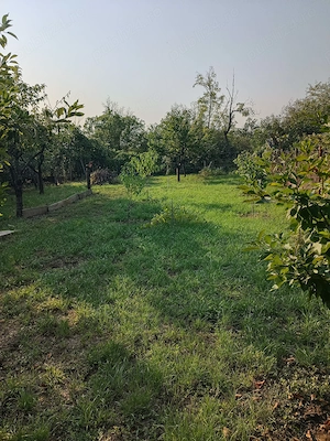 Vând casă Prunaru Teleorman. 45 km de București. - imagine 5
