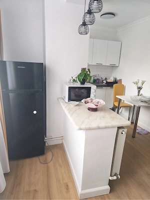 Apartament cu o camera  - imagine 4