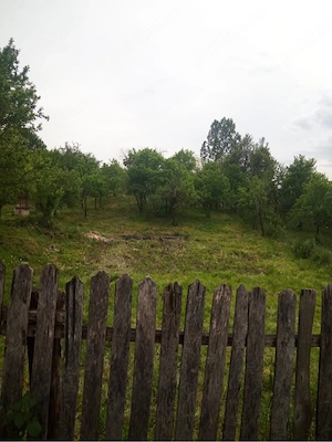 Teren intravilan Goranu strada islazului  - imagine 3