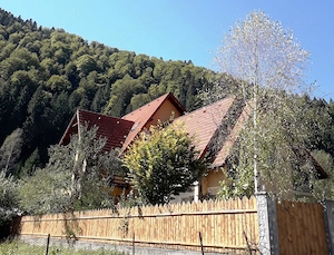 Vilă 13 camere Voineasa, Vâlcea - investiție montana la preț de apartament - imagine 7