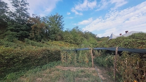 Vand Casa si Teren de 3600 mp. Jud Gorj. Sat Barbatesti - imagine 9