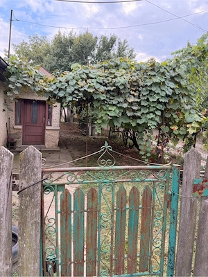 Teren de vanzare