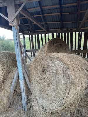 Baloți de fân de vânzare