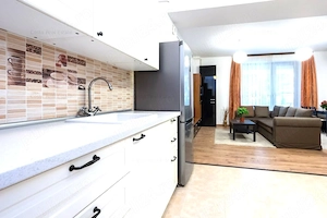 Apartament 2 camere de inchiriat, zona Iancu Nicolae  - imagine 8