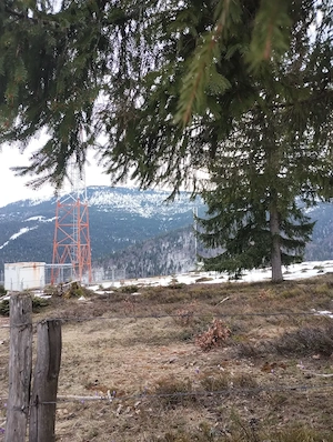 Vând teren extravilan - 5.000 mp - 2 km de statiunea Vârtop - imagine 2
