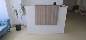 Birou tip receptie 