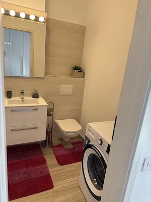 garsoniera ozana-modern-centrala proprie - imagine 8