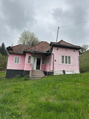 Vând casa cu 3 camere,cămară,hol,pivniță,sura,sopru,grajd curtea are 4000mp plus un teren de 17300mp - imagine 3