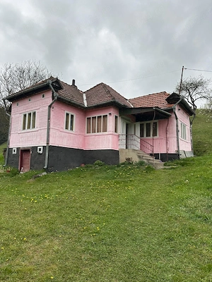 Vând casa cu 3 camere,cămară,hol,pivniță,sura,sopru,grajd curtea are 4000mp plus un teren de 17300mp