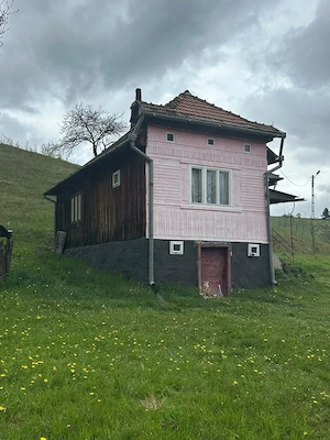 Vând casa cu 3 camere,cămară,hol,pivniță,sura,sopru,grajd curtea are 4000mp plus un teren de 17300mp - imagine 4