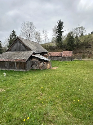 Vând casa cu 3 camere,cămară,hol,pivniță,sura,sopru,grajd curtea are 4000mp plus un teren de 17300mp - imagine 5