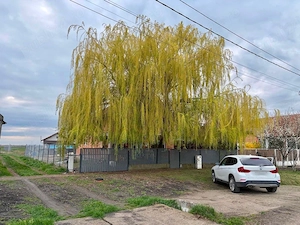 Casa individuala 220 mp | Teren 550 mp | La 12 km de Timișoara | Proprietar - imagine 3
