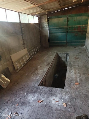 Casa Brătianu, Doi Cocosi  - imagine 4