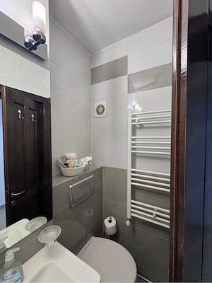 Apartament 3 camere parc zavoi independentei - imagine 6