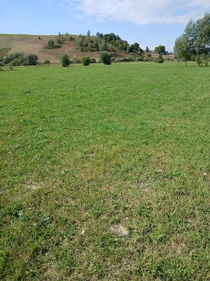 teren de vanzare 2000 mp in Barcani