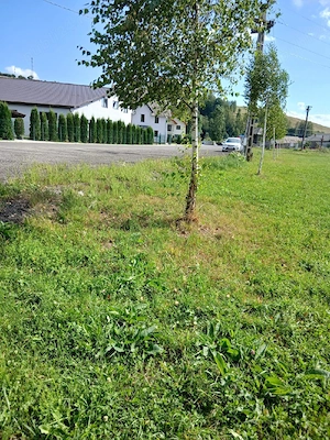 teren de vanzare 2000 mp in Barcani - imagine 9