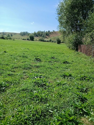 teren de vanzare 2000 mp in Barcani - imagine 2