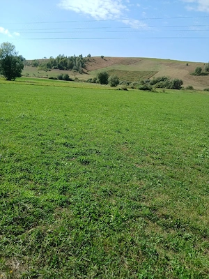 teren de vanzare 2000 mp in Barcani - imagine 8