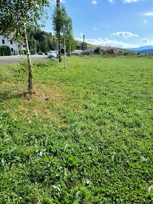 teren de vanzare 2000 mp in Barcani - imagine 6
