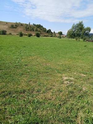teren de vanzare 2000 mp in Barcani - imagine 7