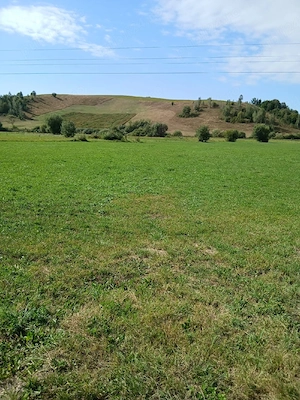 teren de vanzare 2000 mp in Barcani - imagine 3