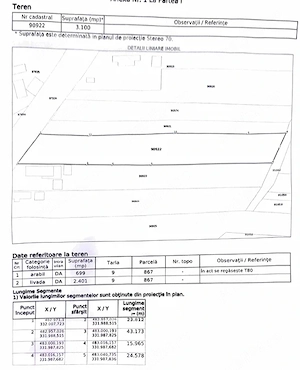 Teren 3.100 mp cu livadă de pruni   Bârla, Argeș   10.900   - imagine 2