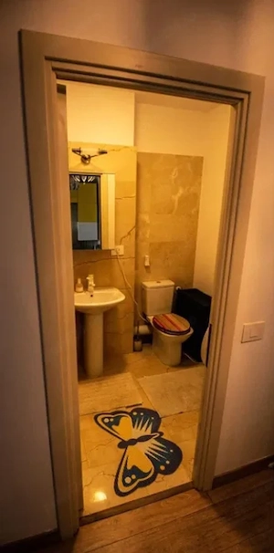 Apartament cu 2 camere in Tatarasi-Lidl-Newton Appartments - imagine 10