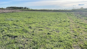 Teren intravilan 608 m2 - Ghiroda, strada Roma- zona foarte buna - imagine 2