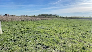 Teren intravilan 608 m2 - Ghiroda, strada Roma- zona foarte buna - imagine 3