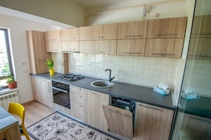 Apartament cu 2 camere in Tatarasi-Lidl-Newton Appartments - imagine 2