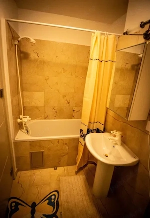 Apartament cu 2 camere in Tatarasi-Lidl-Newton Appartments - imagine 9