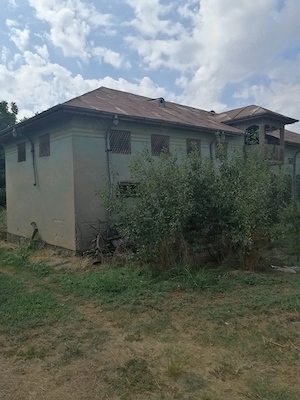 Teren intravilan 3.500 mp, 33 m deschidere la stradă, cu casă și put forat   Amărăștii de Jos, Dolj - imagine 3