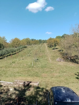 vând pământ extra vilan 