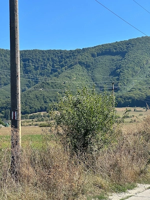 Teren industrial,Cucului-INA-Avicola - imagine 10