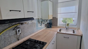 Apartament 2 camere de inchiriat, Baia Mare,mobilat,utilat Comision 0 - imagine 3