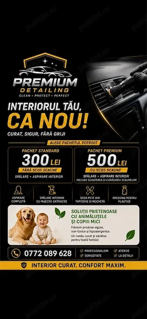 Premium Detaling Auto Interior