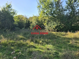 Teren intravilan in Cornu (Ph)--1490 mp--29e - imagine 11