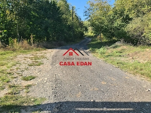 Teren intravilan in Cornu (Ph)--1490 mp--29e - imagine 6