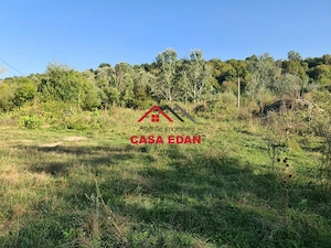 Teren intravilan in Cornu (Ph)--1490 mp--29e - imagine 15