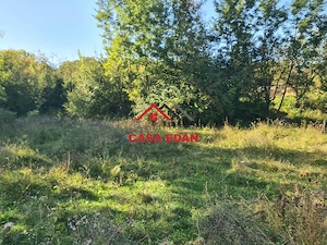 Teren intravilan in Cornu (Ph)--1490 mp--29e - imagine 9